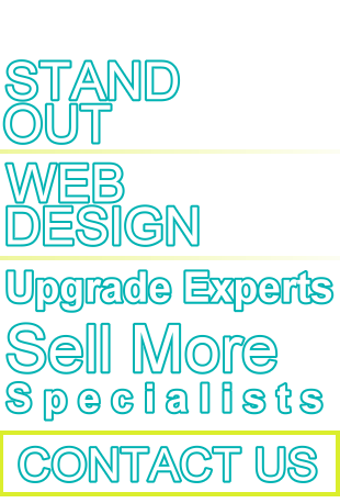 STAND OUT WEB SITE DESIGN. We can help your business.